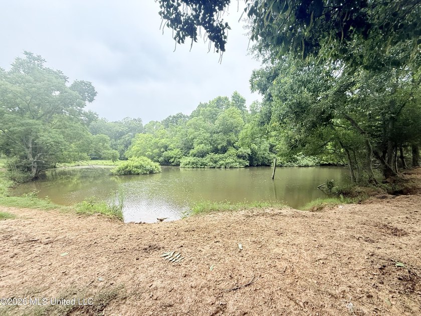 This attractive 12.22 +/- acre parcel offers excellent potential - photo 15