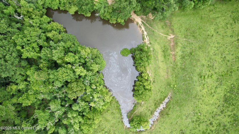 This attractive 12.22 +/- acre parcel offers excellent potential - photo 16