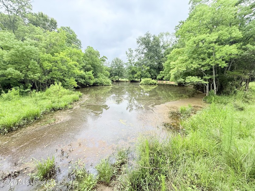 This attractive 12.22 +/- acre parcel offers excellent potential - photo 17