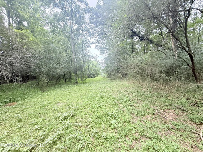 This attractive 12.22 +/- acre parcel offers excellent potential - photo 21