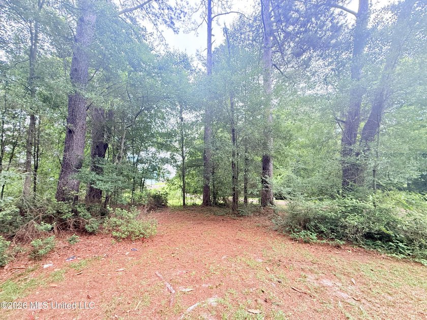 This attractive 12.22 +/- acre parcel offers excellent potential - photo 23