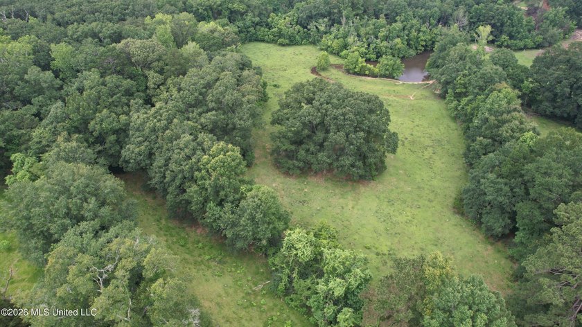 This attractive 12.22 +/- acre parcel offers excellent potential - photo 26