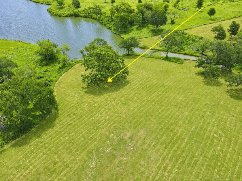 Texas Waterfront Views with Country Vibes. Build a Boathouse! - photo 17