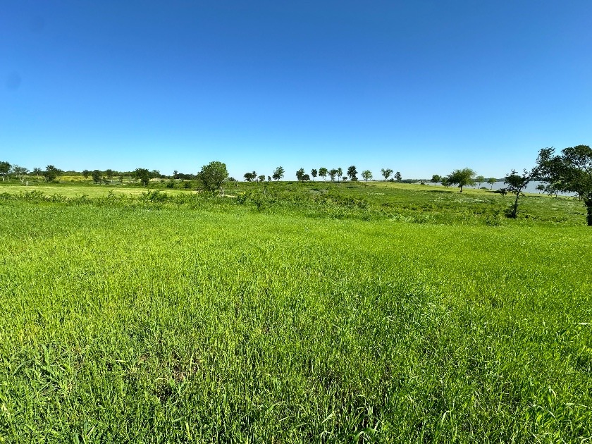 Texas Waterfront Views with Country Vibes. Build a Boathouse! - photo 29