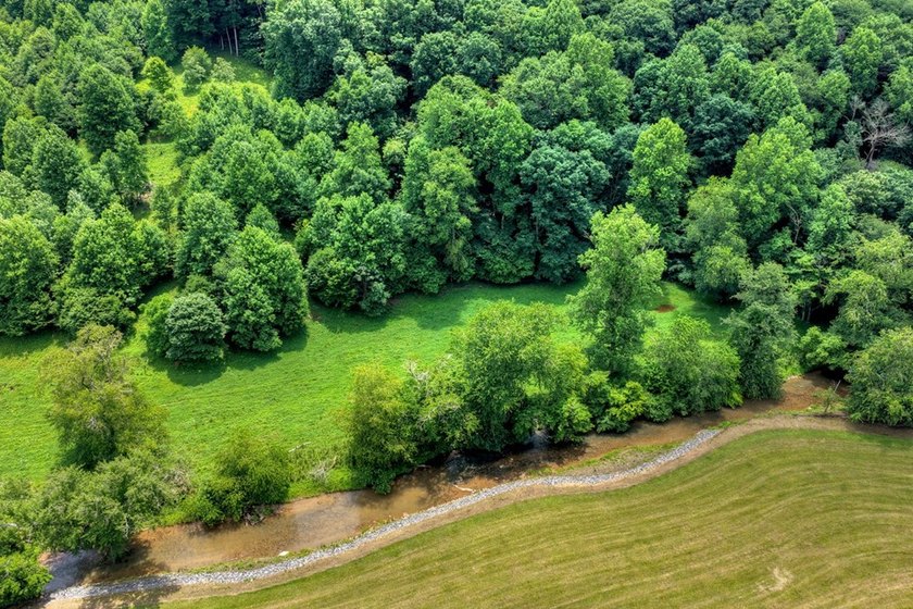 Charming cottage home nestled on nearly 7 private wooded acres - photo 36