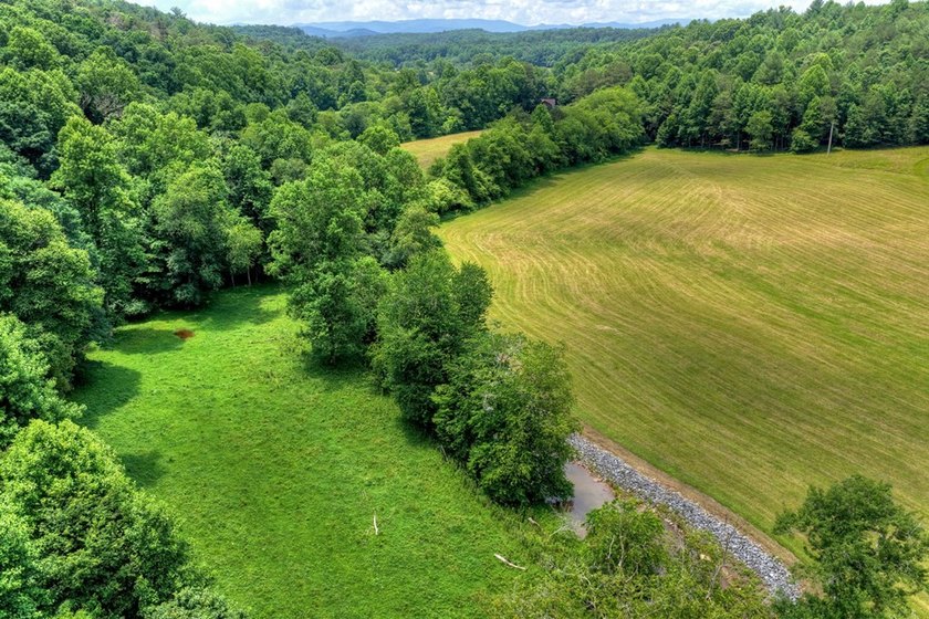 Charming cottage home nestled on nearly 7 private wooded acres - photo 41