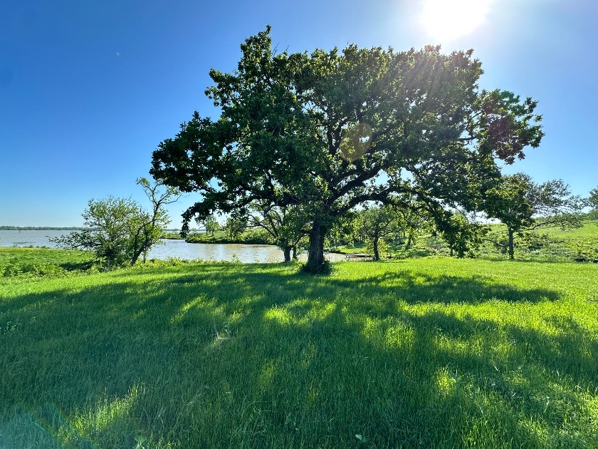 Texas Waterfront Views with Country Vibes. Build a Boathouse! - photo 26