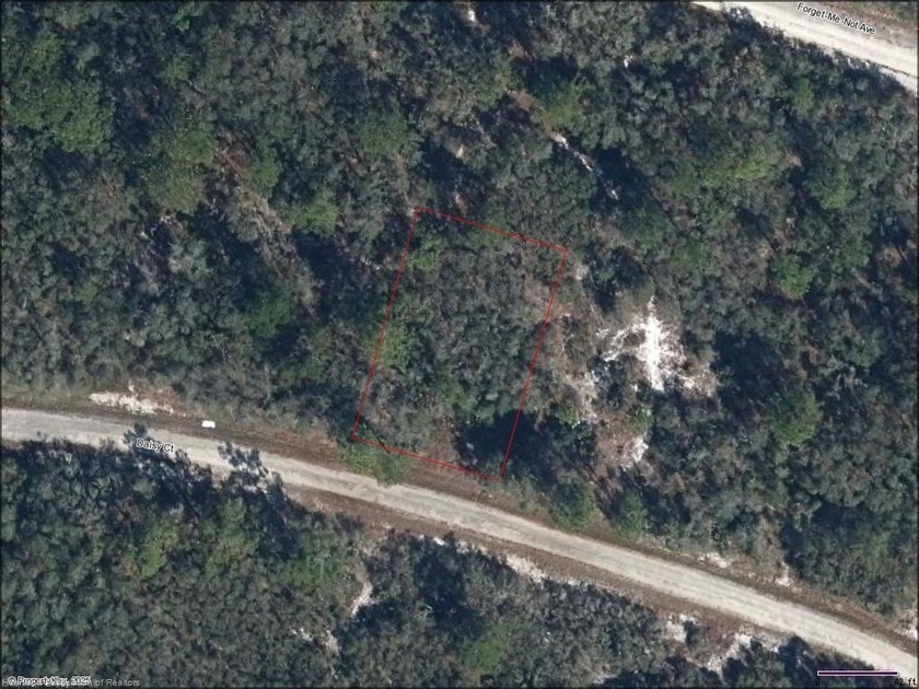 Are you looking for a peaceful place to build your dream home? - photo 2