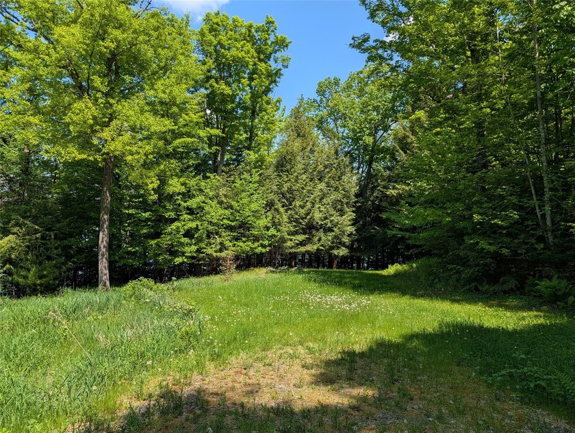 Welcome to your future property located at Otter Lake just north - photo 14
