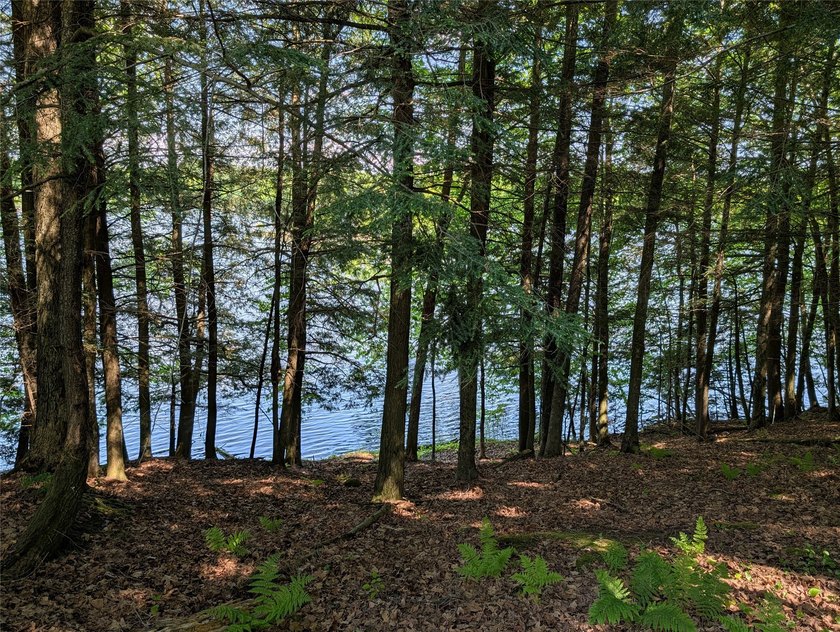 Welcome to your future property located at Otter Lake just north - photo 16