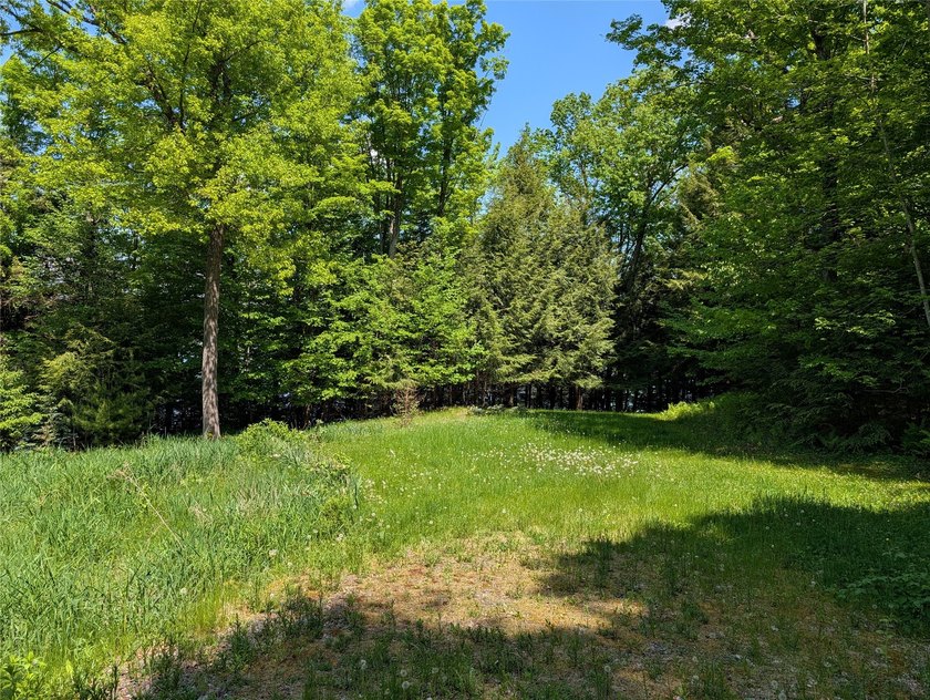 Welcome to your future property located at Otter Lake just north - photo 19