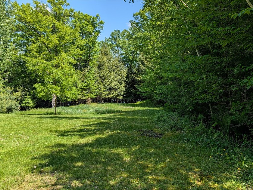 Welcome to your future property located at Otter Lake just north - photo 20