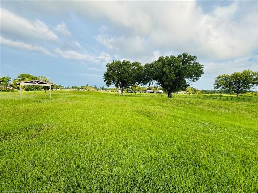 75+/- Acre Recreation Paradise - Rare Opportunity Near Lake June - photo 8