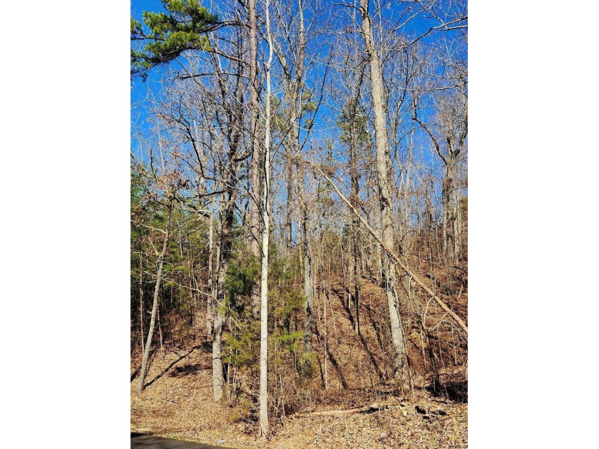 Middleton Estates is located 5 minutes off of 136, less than 10 - photo 11