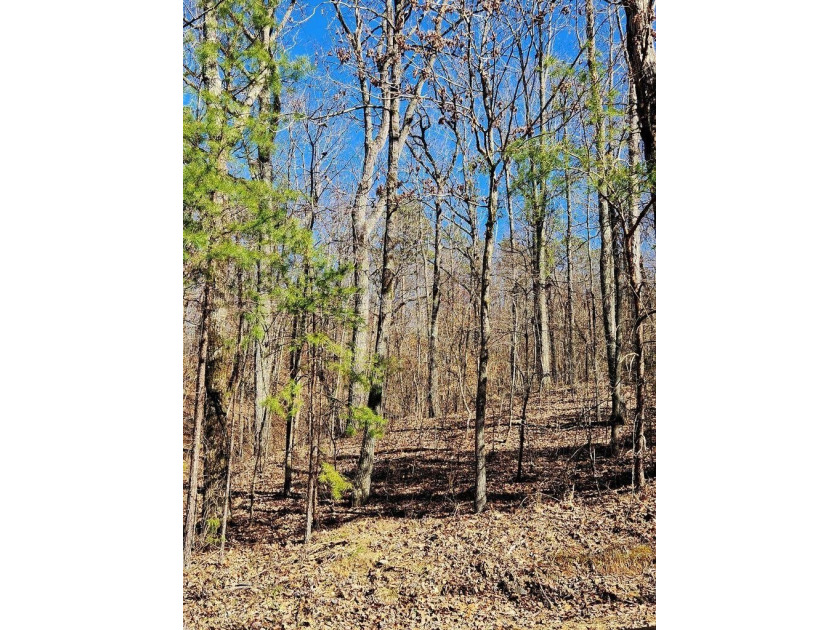 Middleton Estates is located 5 minutes off of 136, less than 10 - photo 13