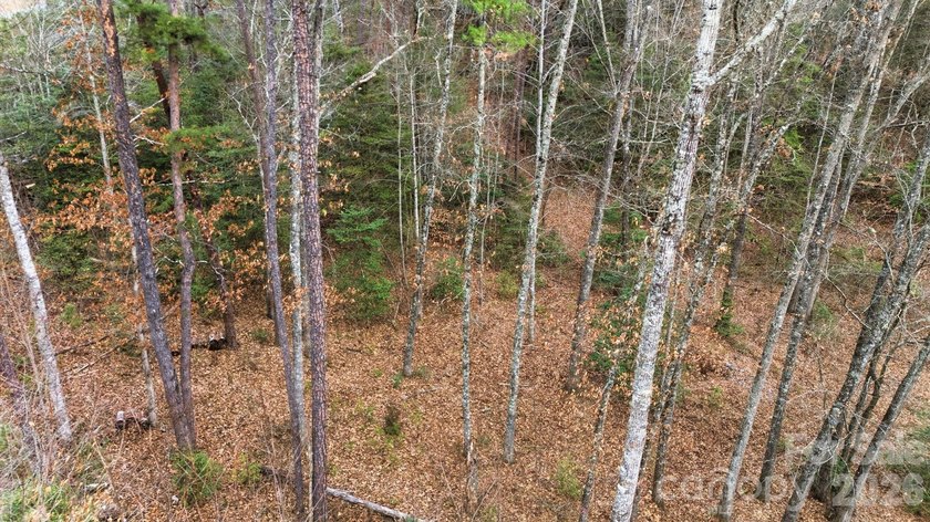 Embrace the mountain river lifestyle in the sought-after - photo 18