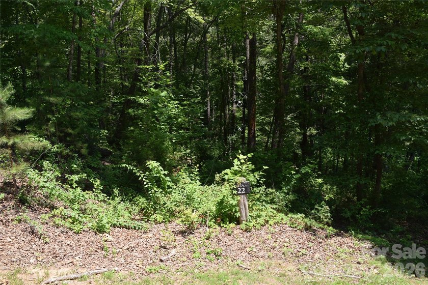 Embrace the mountain river lifestyle in the sought-after - photo 23