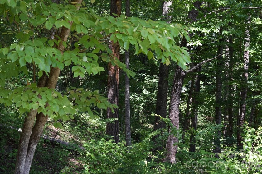 Embrace the mountain river lifestyle in the sought-after - photo 27