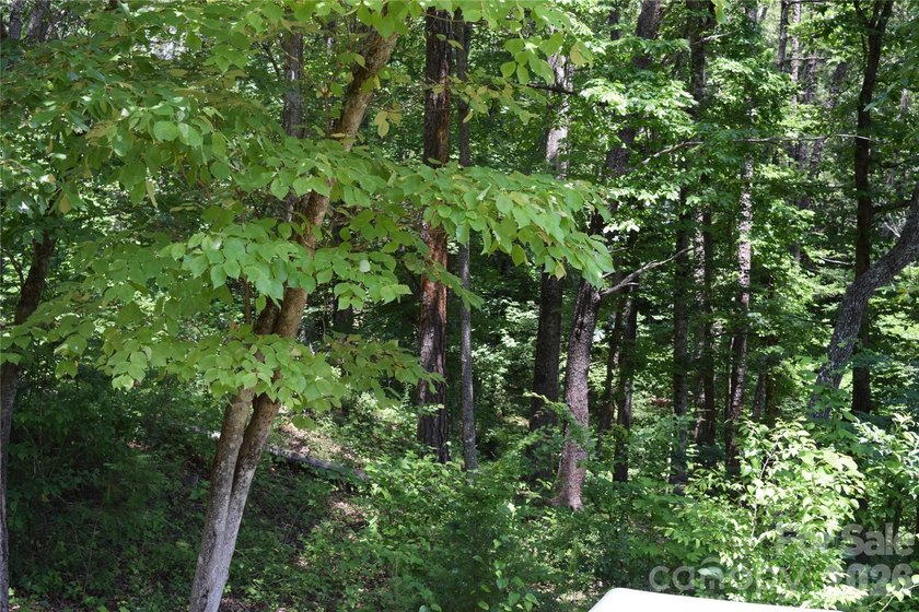 Embrace the mountain river lifestyle in the sought-after - photo 28