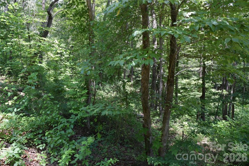 Embrace the mountain river lifestyle in the sought-after - photo 31