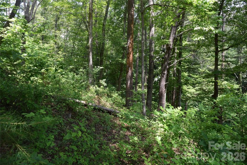 Embrace the mountain river lifestyle in the sought-after - photo 36