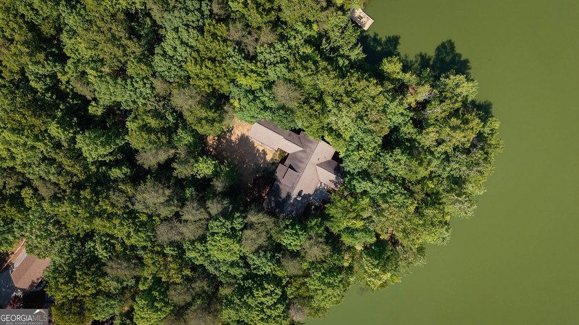This spectacular 3,030-square-foot, 4-bedroom, 4-bathroom lake - photo 47