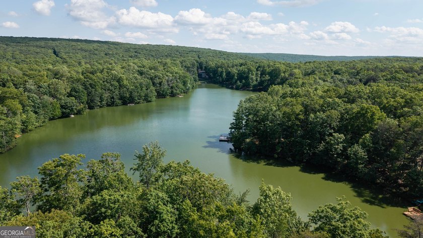 This spectacular 3,030-square-foot, 4-bedroom, 4-bathroom lake - photo 48
