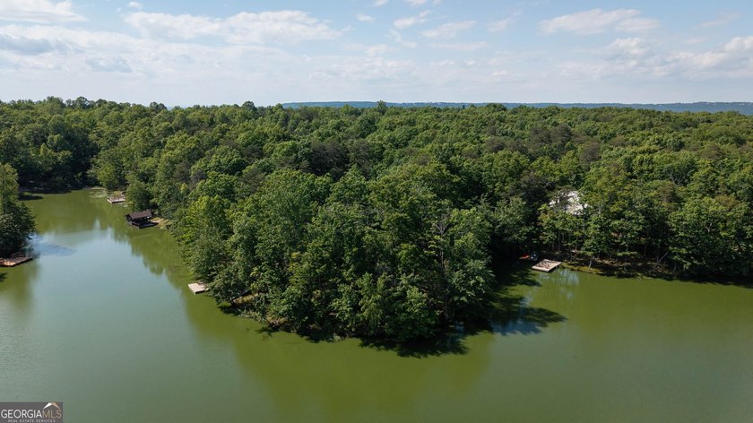 This spectacular 3,030-square-foot, 4-bedroom, 4-bathroom lake - photo 50