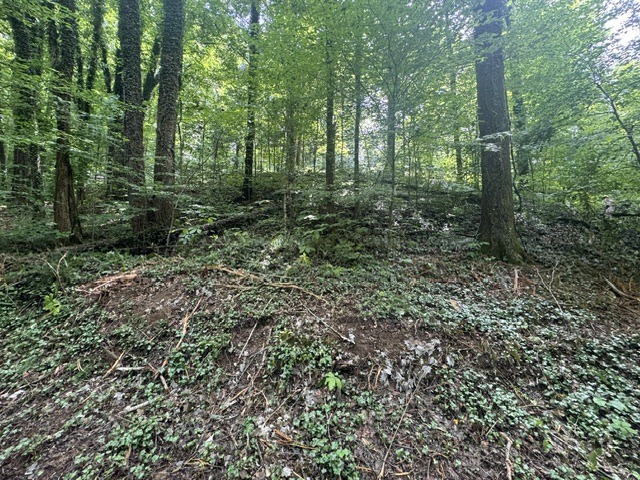 Waterfront Lot Near Nolin Dam - photo 8