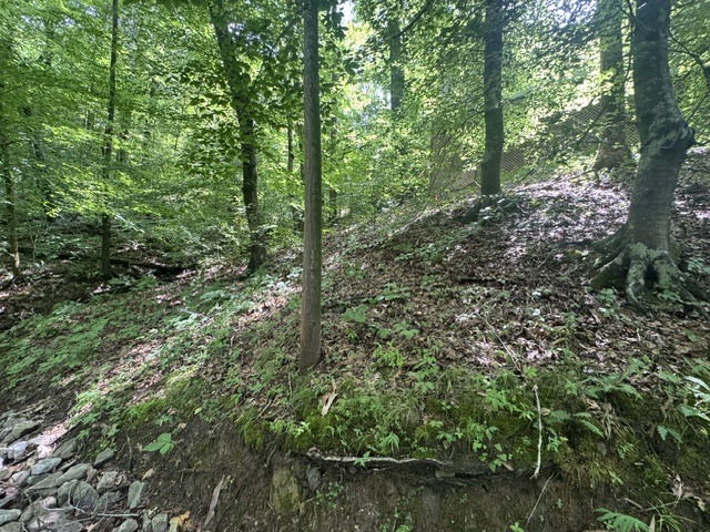 Waterfront Lot Near Nolin Dam - photo 9
