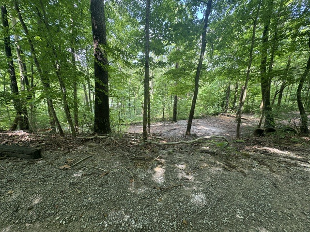 Waterfront Lot Near Nolin Dam - photo 10