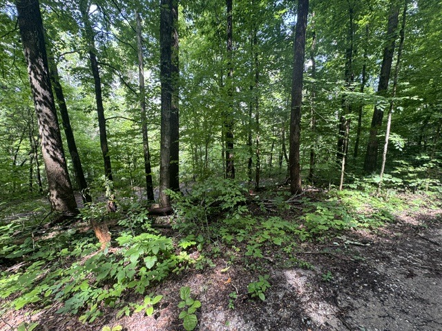 Waterfront Lot Near Nolin Dam - photo 7