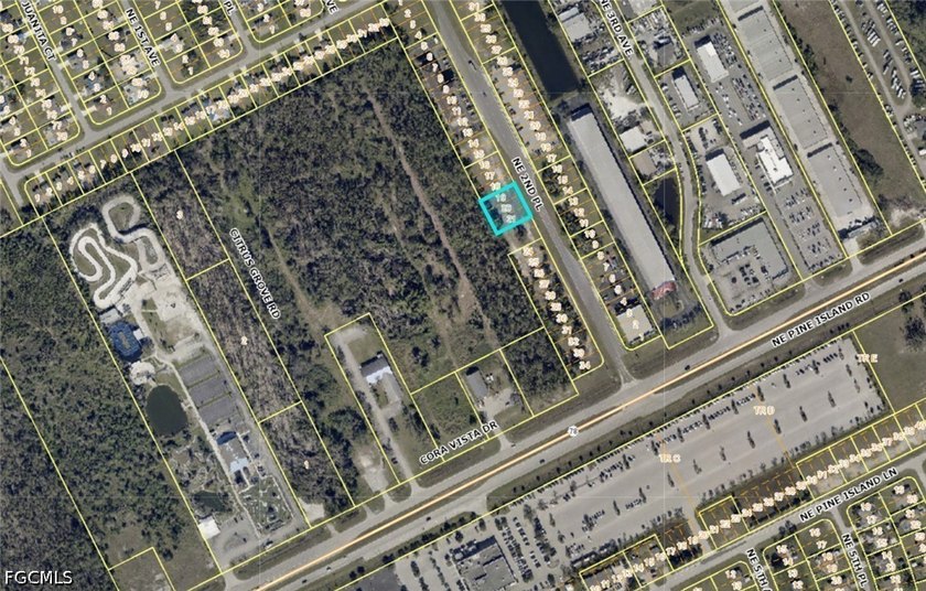 land on Pine Island Rd with Commercial Corridor District zoning - photo 3