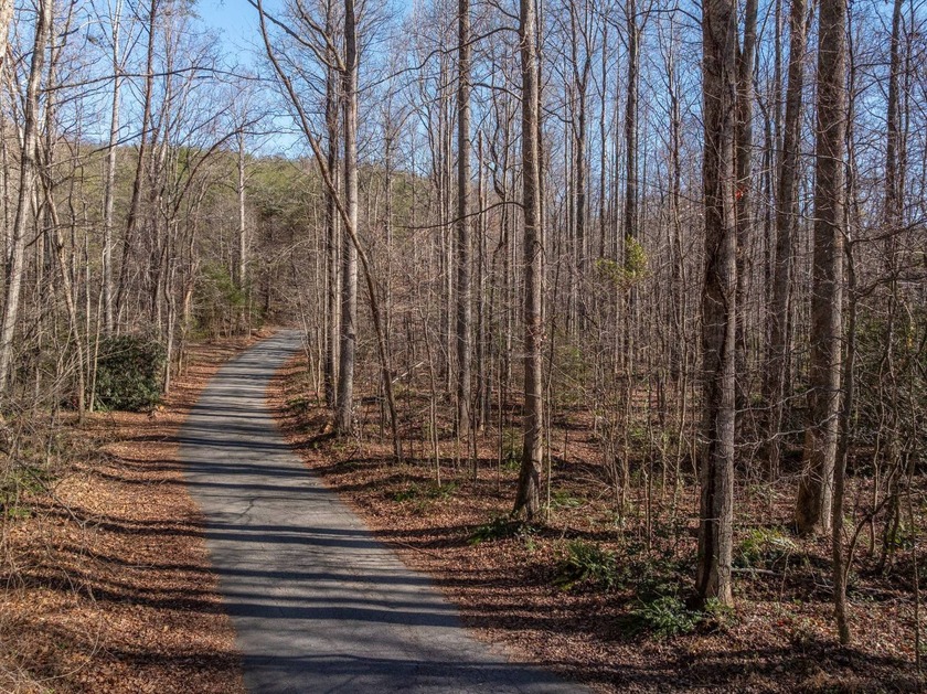 Nineteen acres in Landrum, South Carolina, set just off Highway - photo 7