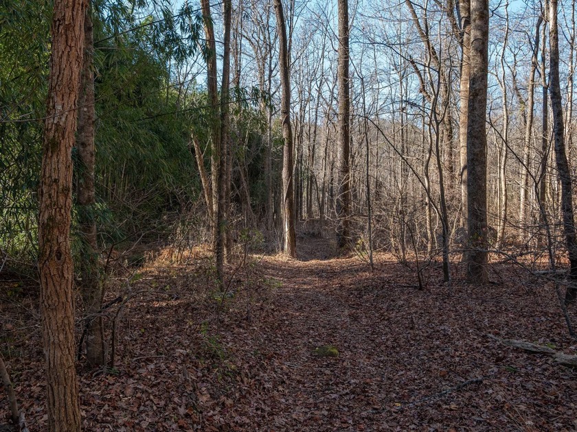 Nineteen acres in Landrum, South Carolina, set just off Highway - photo 8