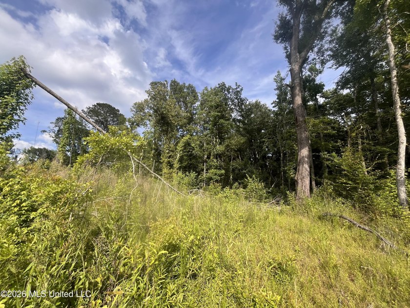21.09 +/- acres offering a great opportunity for a future home - photo 11