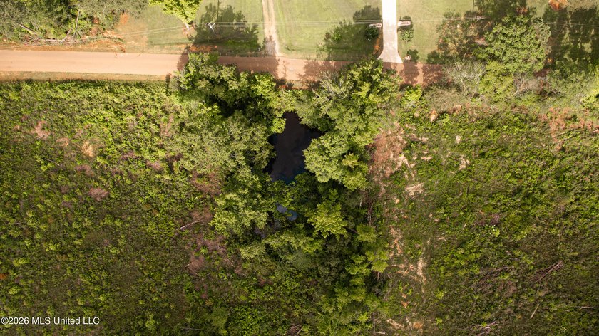 21.09 +/- acres offering a great opportunity for a future home - photo 13