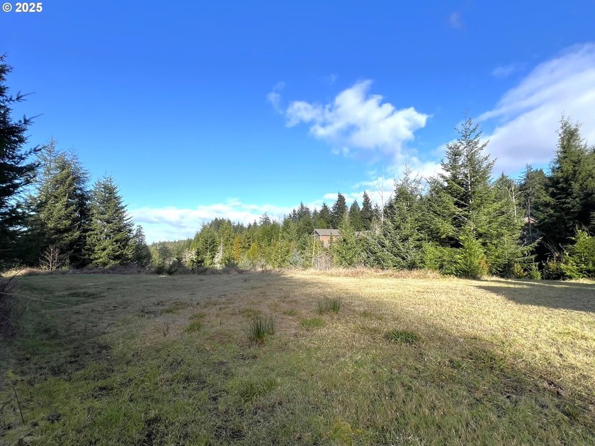 Surrounded by towering trees and quality custom homes, this - photo 2