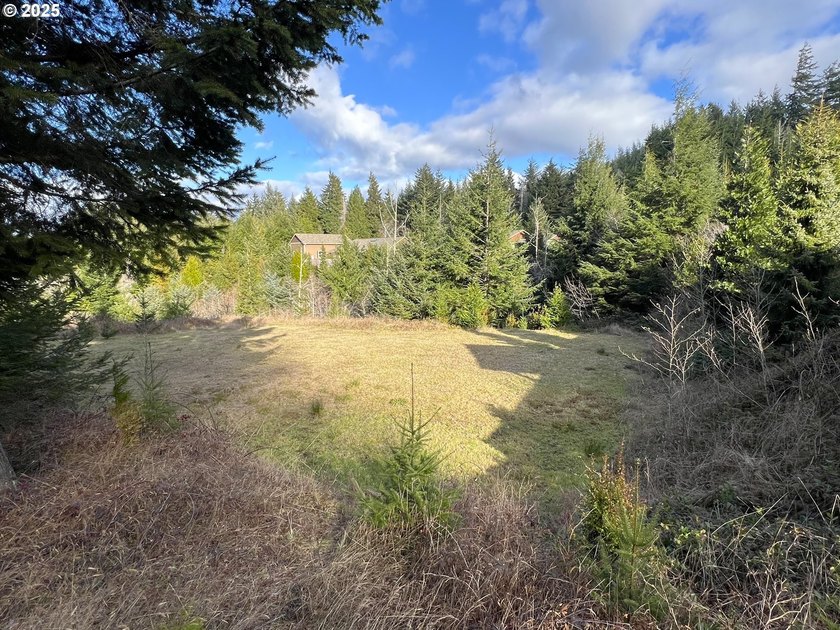 Surrounded by towering trees and quality custom homes, this - photo 4