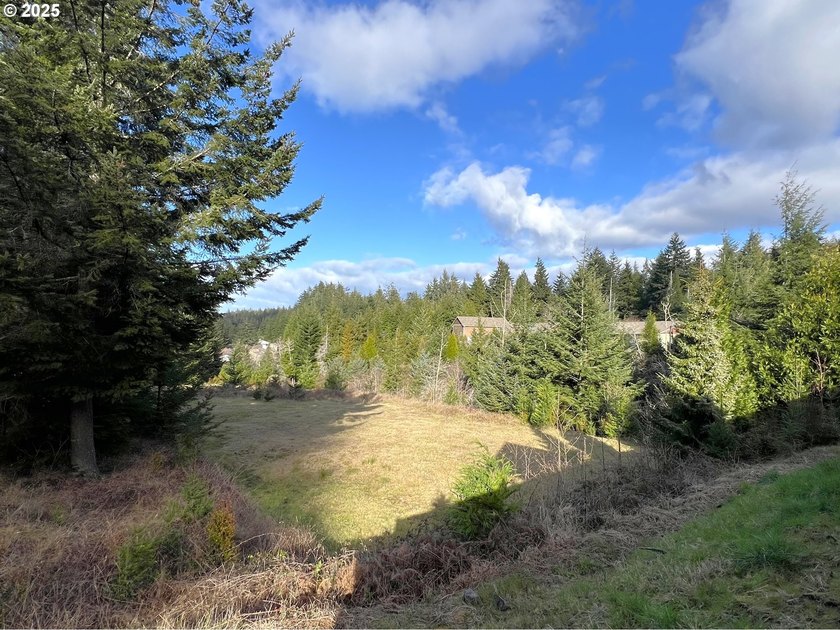 Surrounded by towering trees and quality custom homes, this - photo 5