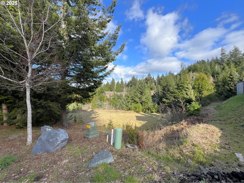 Surrounded by towering trees and quality custom homes, this - photo 6