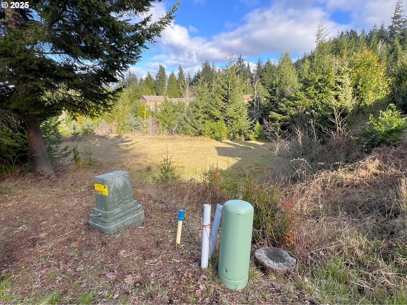 Surrounded by towering trees and quality custom homes, this - photo 7