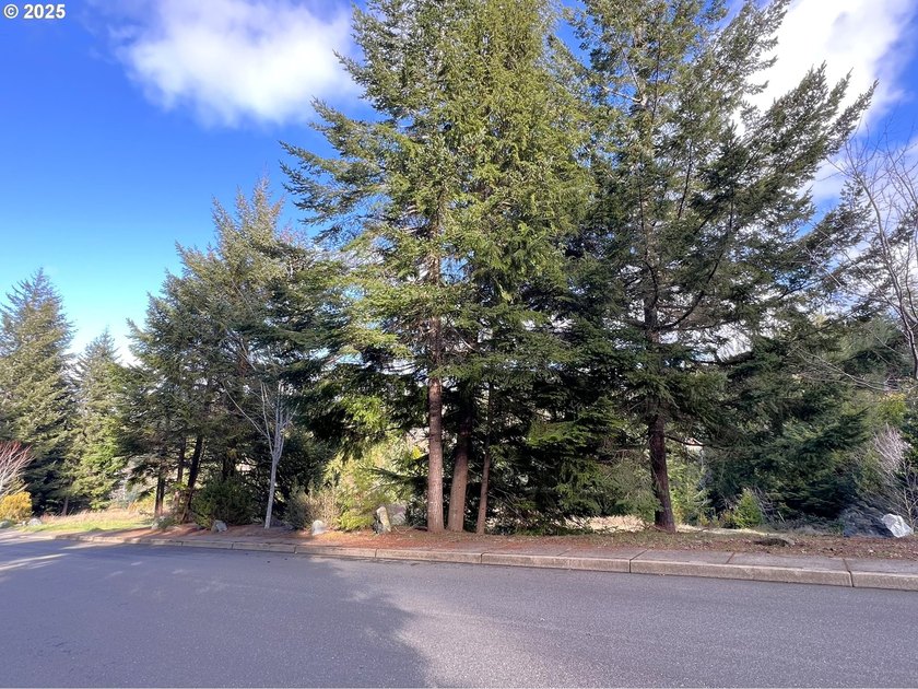 Surrounded by towering trees and quality custom homes, this - photo 8