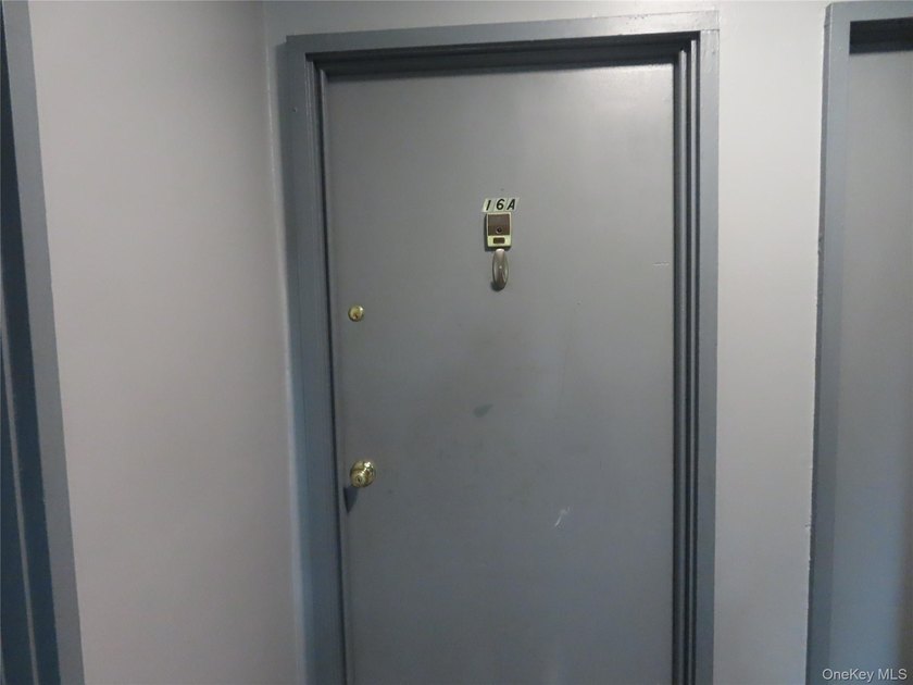 Welcome to this beautifully updated, main level, deluxe size - photo 3