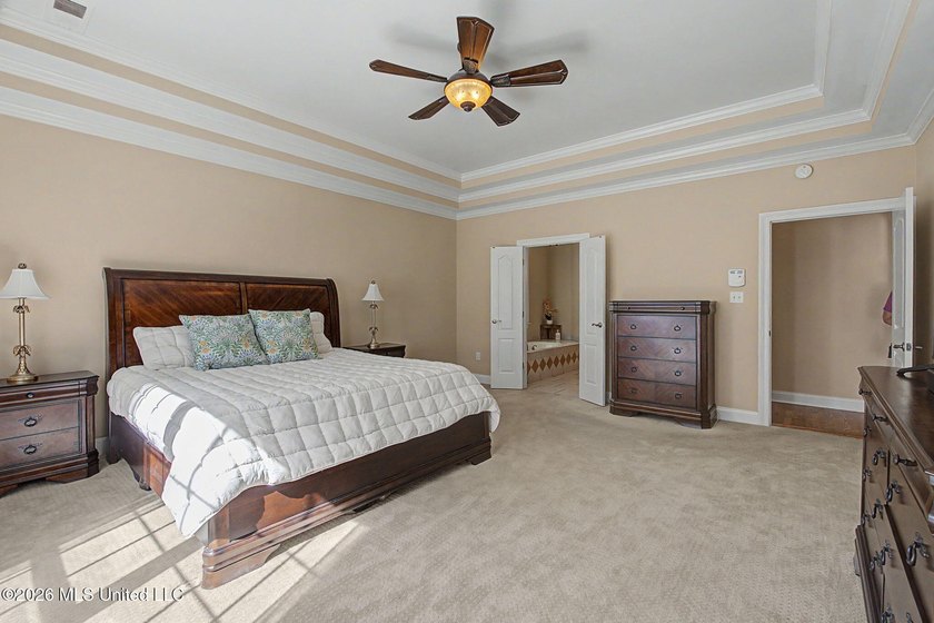 Over 4,200 square feet, 2 bedrooms downstairs, walk-in closets - photo 18