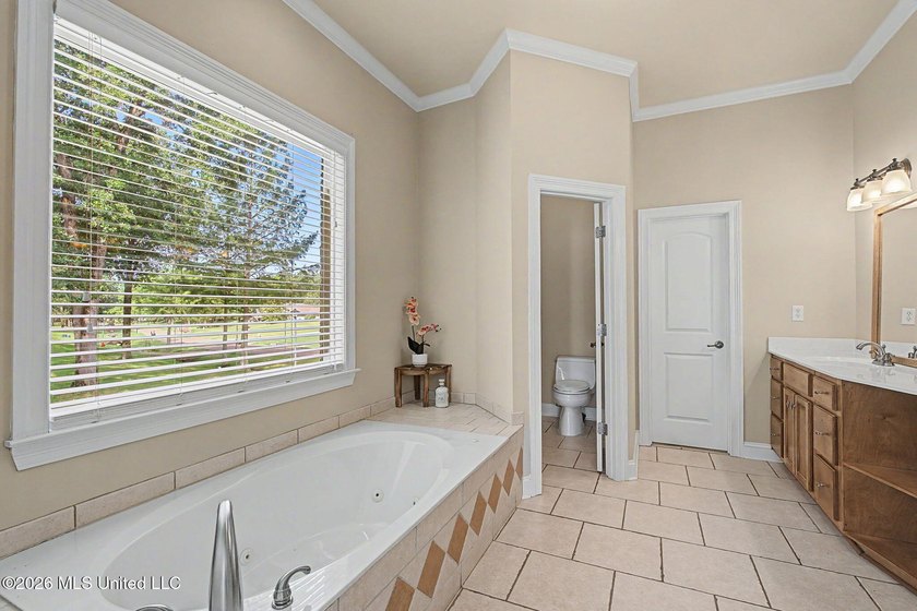 Over 4,200 square feet, 2 bedrooms downstairs, walk-in closets - photo 19