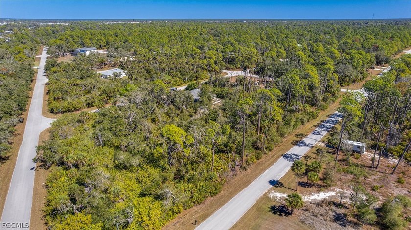 Build your dream home on this single-family residential lot - photo 2