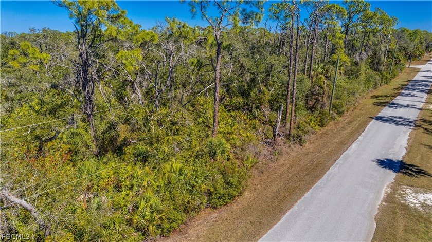 Build your dream home on this single-family residential lot - photo 4