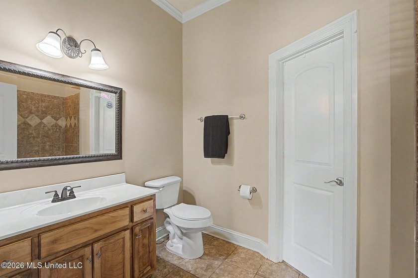 Over 4,200 square feet, 2 bedrooms downstairs, walk-in closets - photo 25