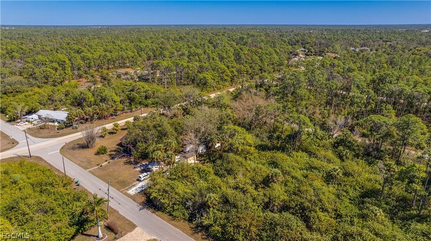 Build your dream home on this single-family residential lot - photo 8